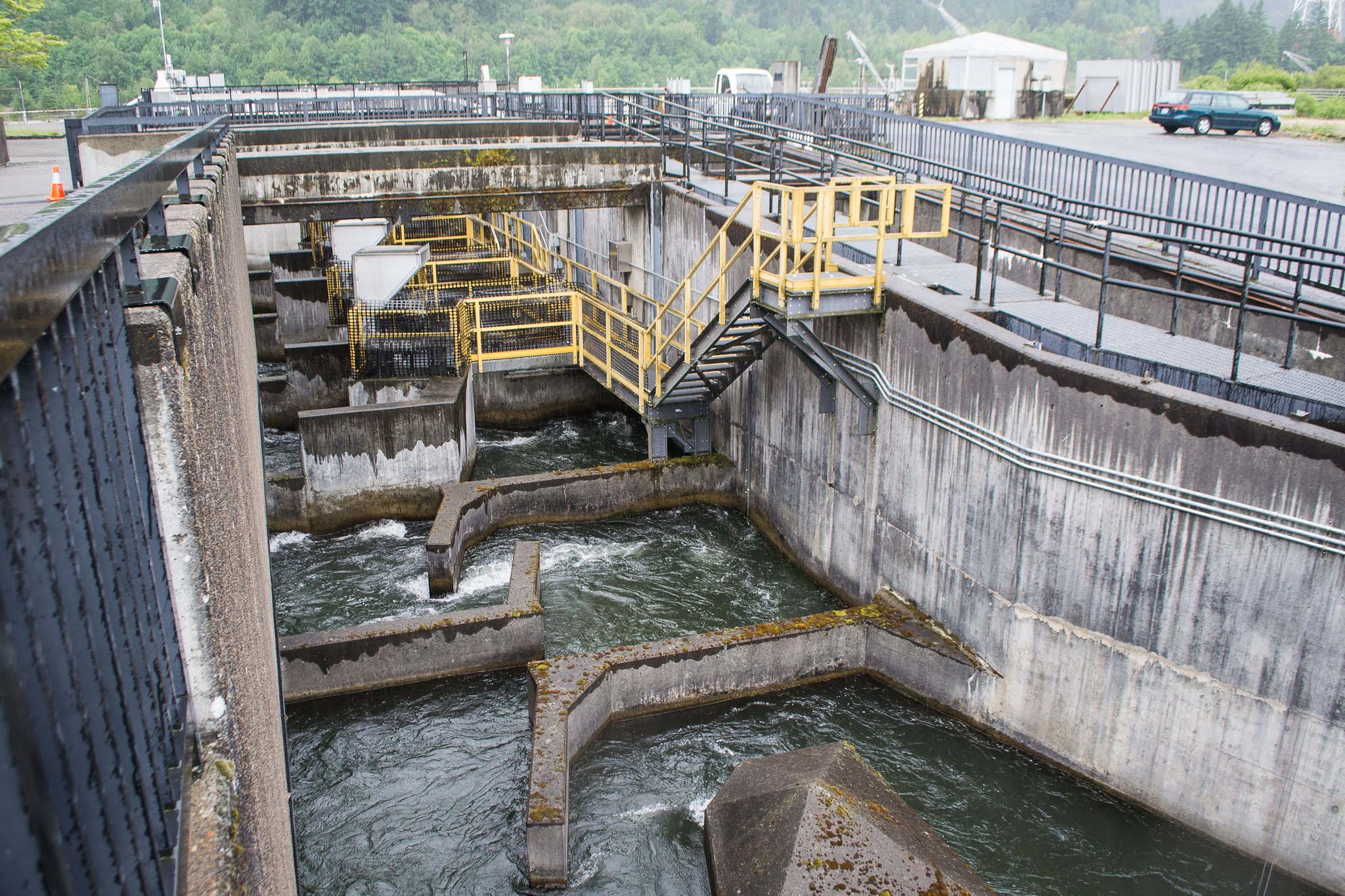 How Does a Fish Ladder Work?