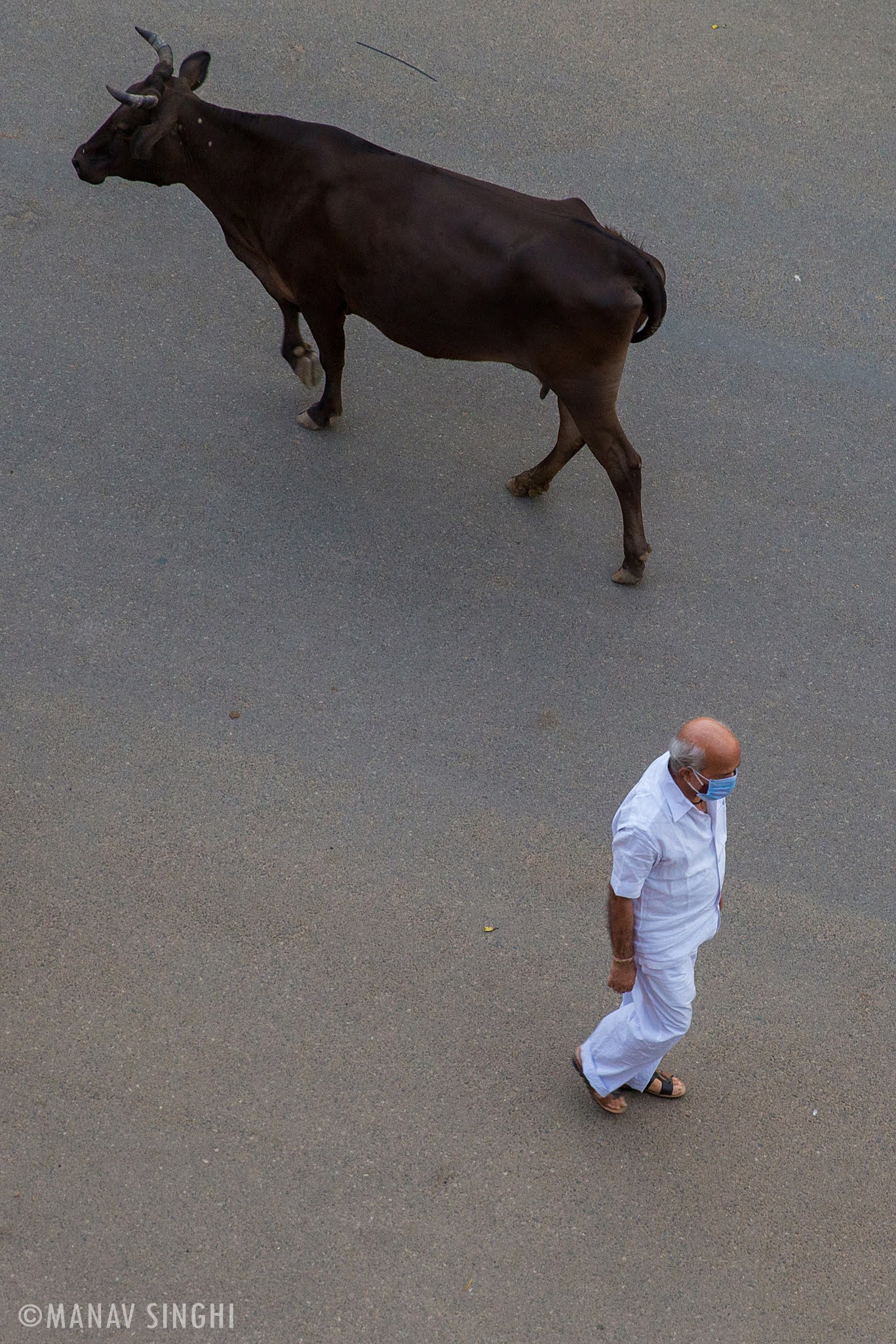 Lockdown Stories from Jaipur / 13-May-2021