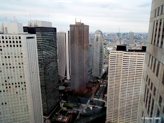 TOKIO DESDE LAS ALTURAS.