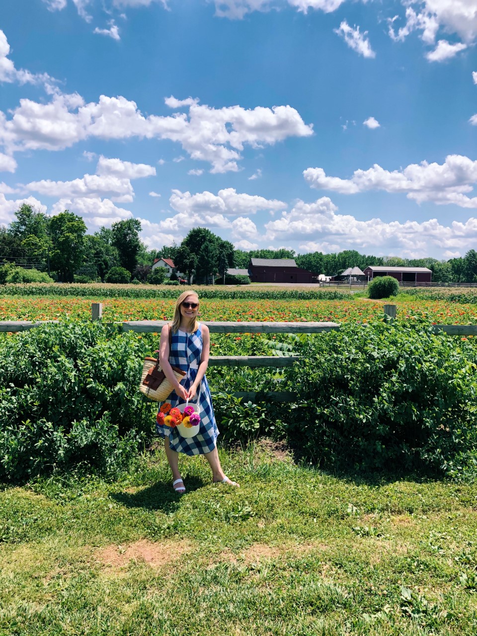 Flower Picking at Maple Acres Farm Organized Mess