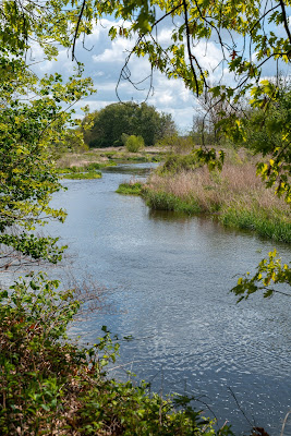 Lutherweg von Leisnig nach Döbeln - Wandern in Sachsen - Region Leipzig - Burg Mildenstein - Kloster Buch - Wanderung 17