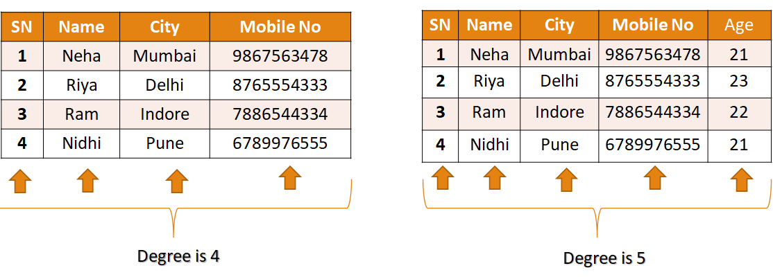 Degree in relational data model