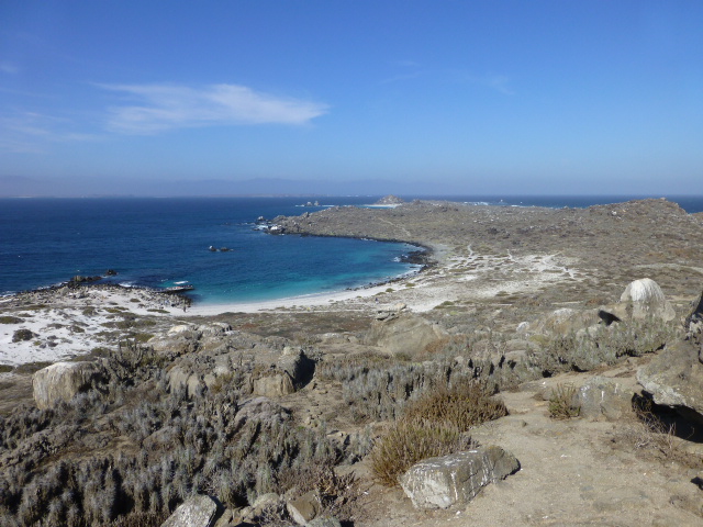 Big Telescopes, Big Questions: The Humboldt Penguin National Reserve