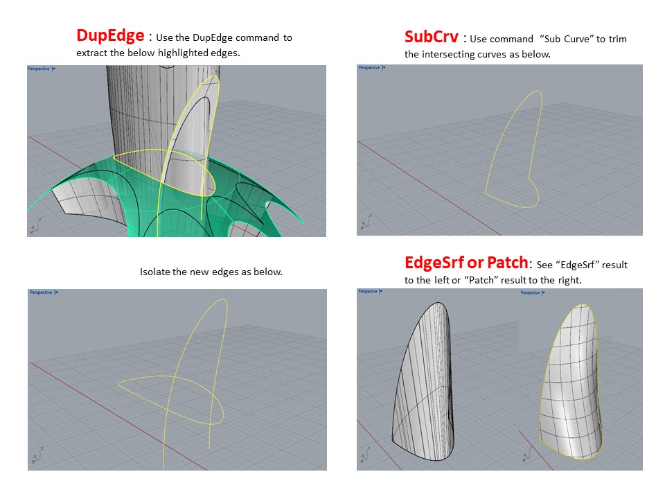 Rhinoceros Modelling Tutorial for Architects and Designers