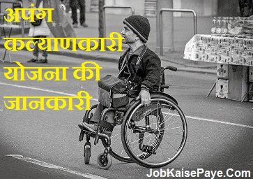 What are the benefits of handicapped welfare scheme What are the benefits of handicapped welfare scheme