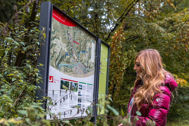 Wildwiesenweg – Eitorf | Wandern in der Naturregion-Sieg | Erlebniswege Sieg 02