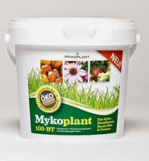 Микориза и препараты "Триходермин", "Трихофит" Микориза и препараты "Триходермин", "Трихофит"