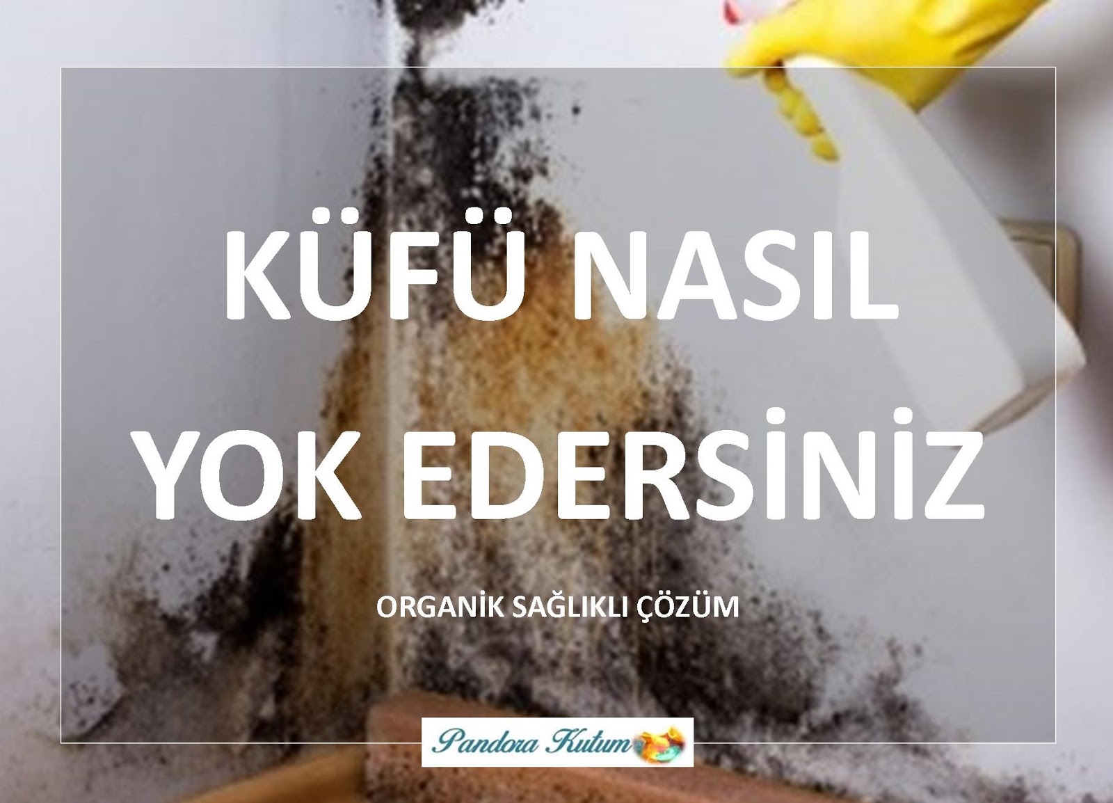 Küf Nasıl Temizlenir Pandora Kutum Küf Nasıl Temizlenir Pandora Kutum