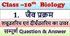 Bihar Board Class 10th Science जैव प्रक्रम Solutions | Class 10th Biology Chapter 1 जैव प्रक्रम