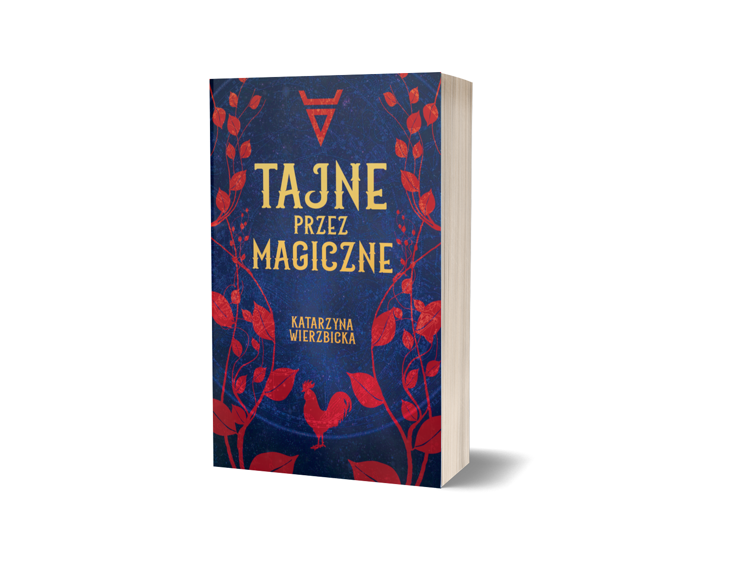 "Tajne przez magiczne" Katarzyna Wierzbicka - zapowiedź Patronat Medialny