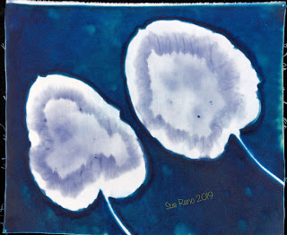 Wet cyanotype -Sue Reno_Image 665