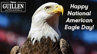 National American Eagle Day HD Pictures, Wallpapers