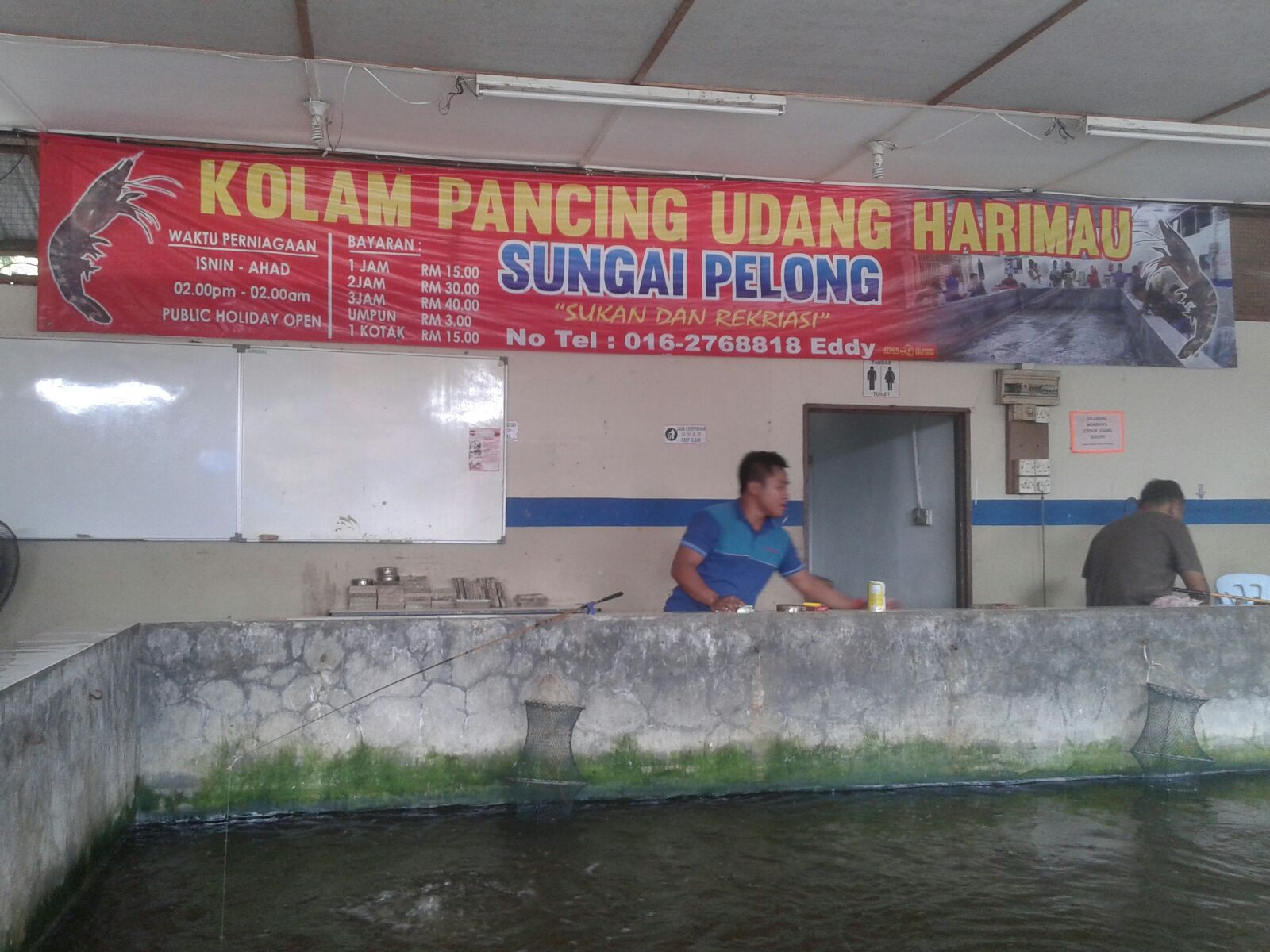 Teknik Mancing Udang Harimau Kolam - Hobi Mancing