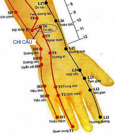 Vị trí huyệt chi câu