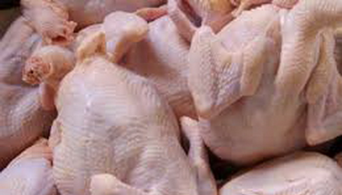 Langkah Taktis Mentan Syahrul Limpo Cegah Kerugian Peternak Ayam