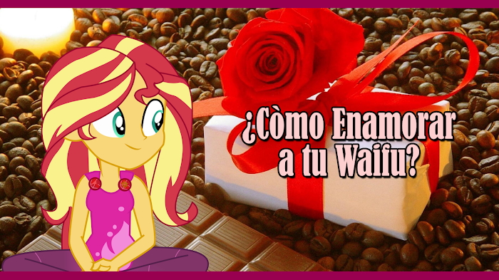 ¿Còmo Enamorar a tu Waifu?