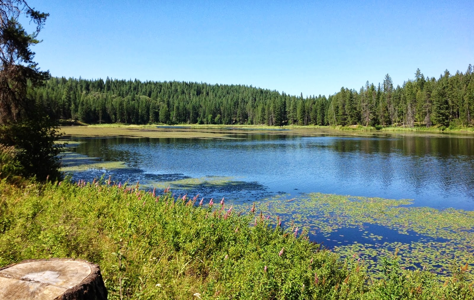 Lorinda & Sean's Homemobile Eastern Washington, Idaho Panhandle and