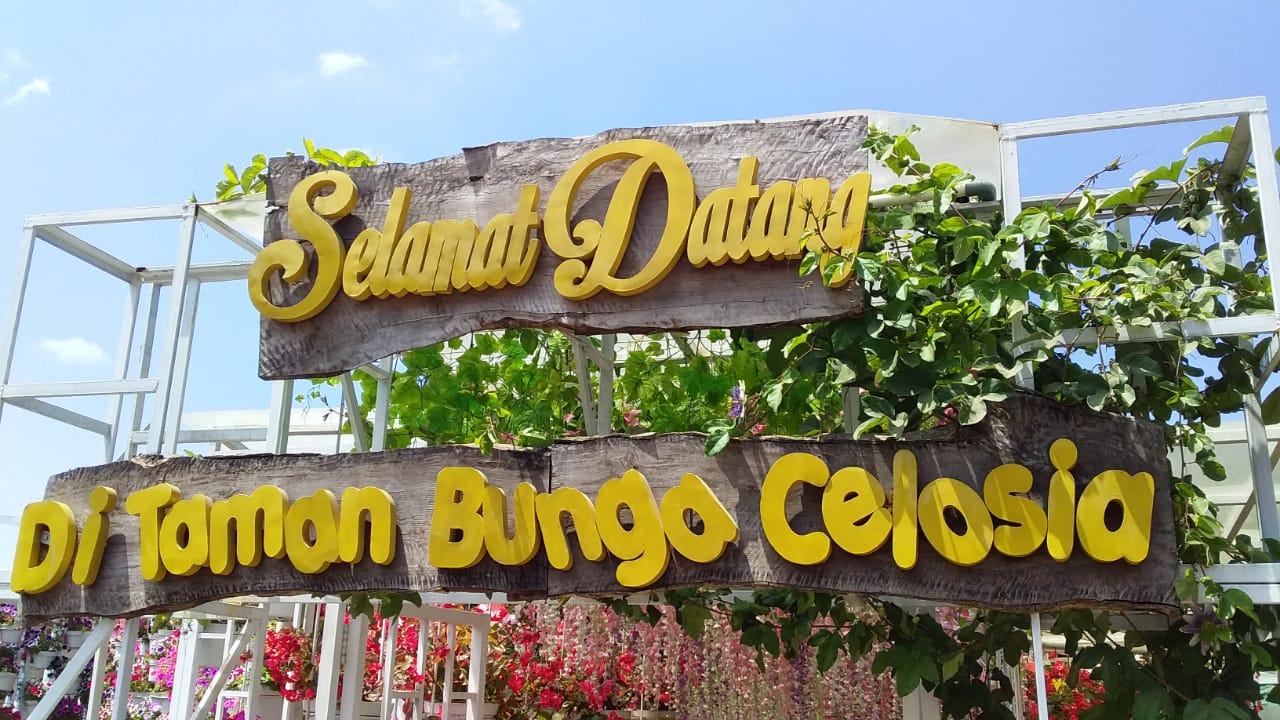 Mengagumi Pesona Taman Bunga Celosia Semarang Istanarina I Lifestyle Blog I Personal Blog Arina Mabruroh