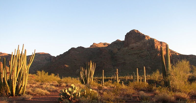Archaeologik Eine Mauer Gegen Kultur Fur Die Trump Wall Wird