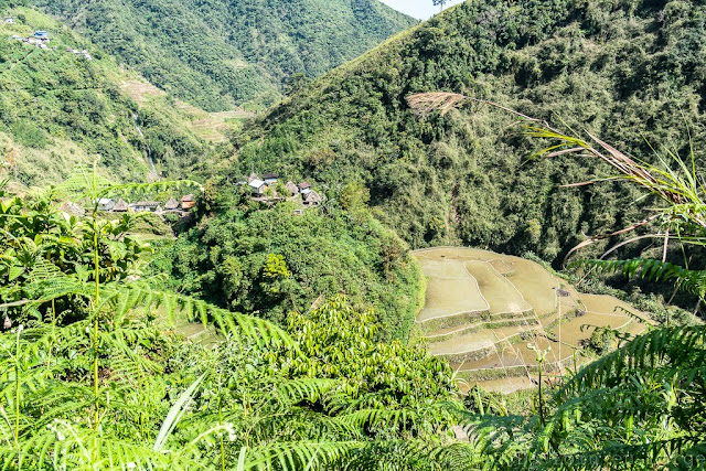 Pula-Région de l'Ifugao-Luçon-Philippines