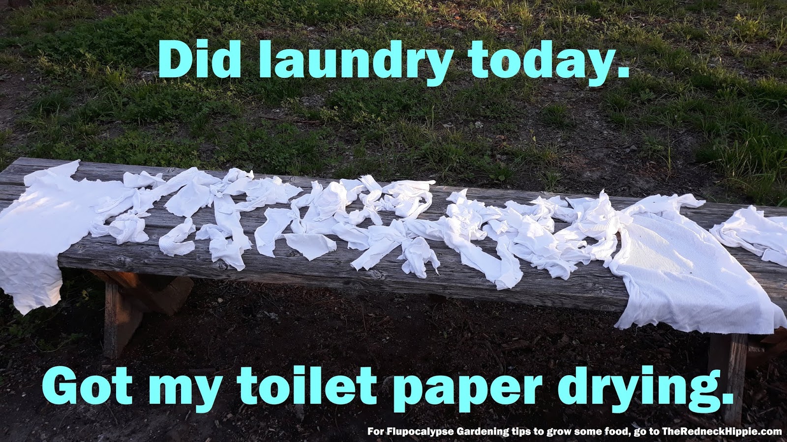 The Redneck Hippie Toilet Paper Substitute