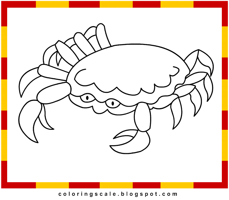 a home for hermit crab coloring pages - photo #50