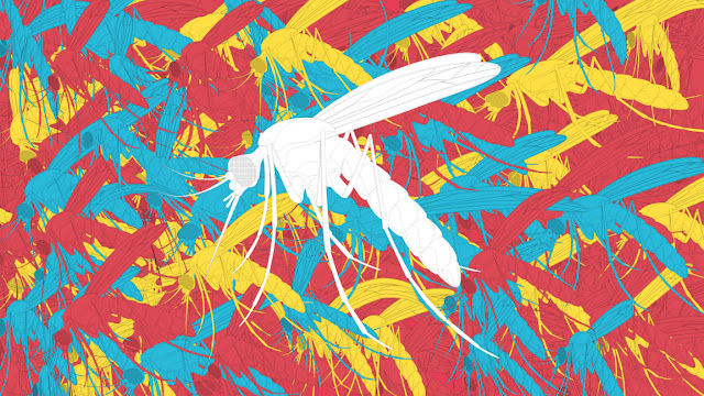 Mosquitoes illustration