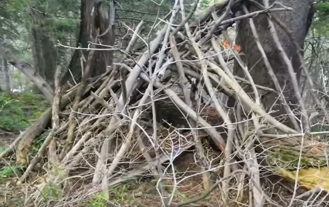 Bigfoot Investigator Finds Strange Hidden Shelter In The Mountains