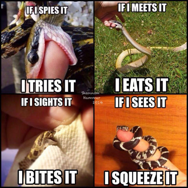 if-i-sees-it-i-eats-it-snake-meme.jpg