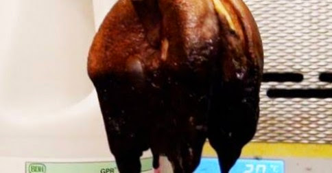 Η διατροφική αξία ενός μπέργκερ