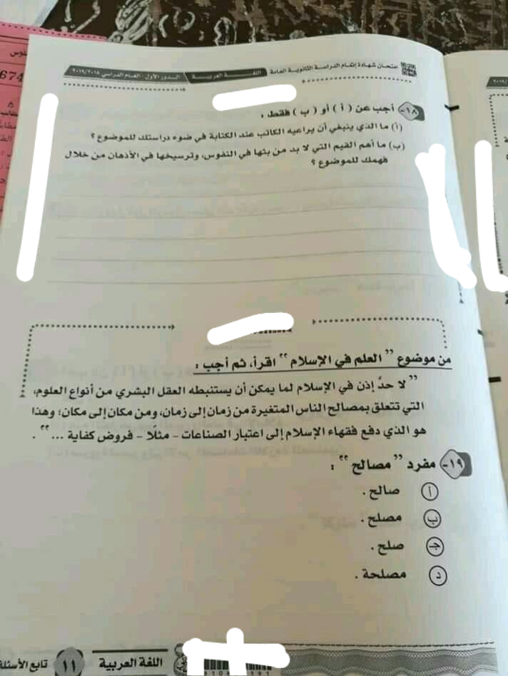 إجابة امتحان اللغة العربية للصف الثالث الثانوي 2019 بتوزيع الدرجات