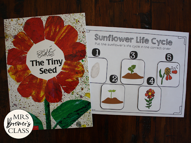 The Tiny Seed book study activities unit with sunflower life cycle spring companion activities for Kindergarten and First Grade