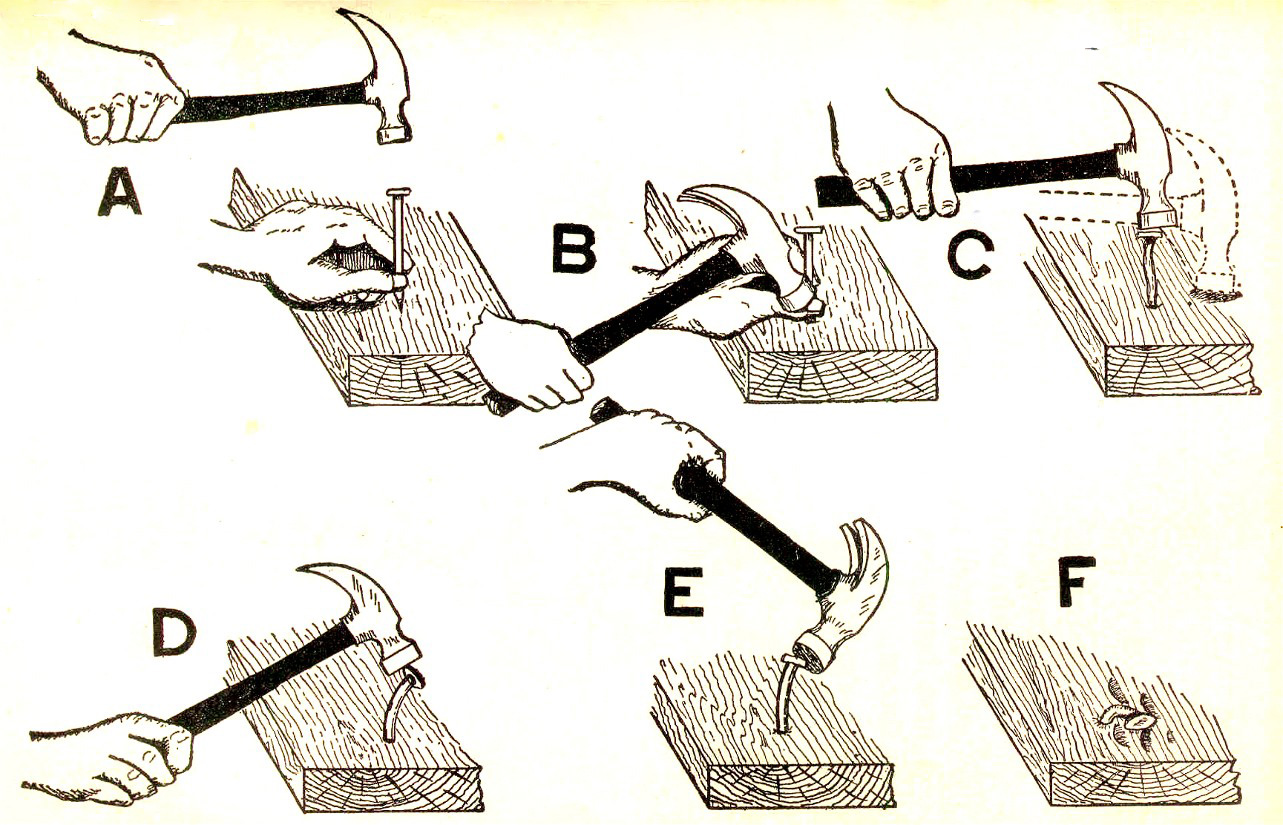 The Clubhouse Builder How to Pound (and unbend) a Nail