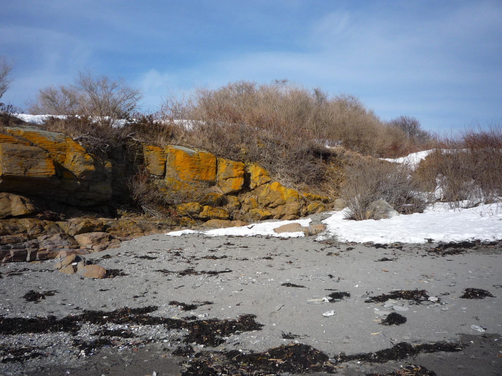 Daily Pics photographs by CarenMarie Michel Kettle Cove, Cape