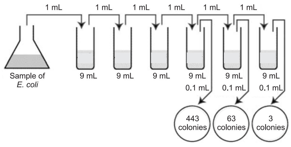 CFU per ml of a Bacterial sample solved problems