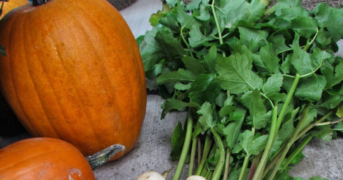 Rhubarb & Roses Parsnip, Sage, Rosemary and Thyme Bread