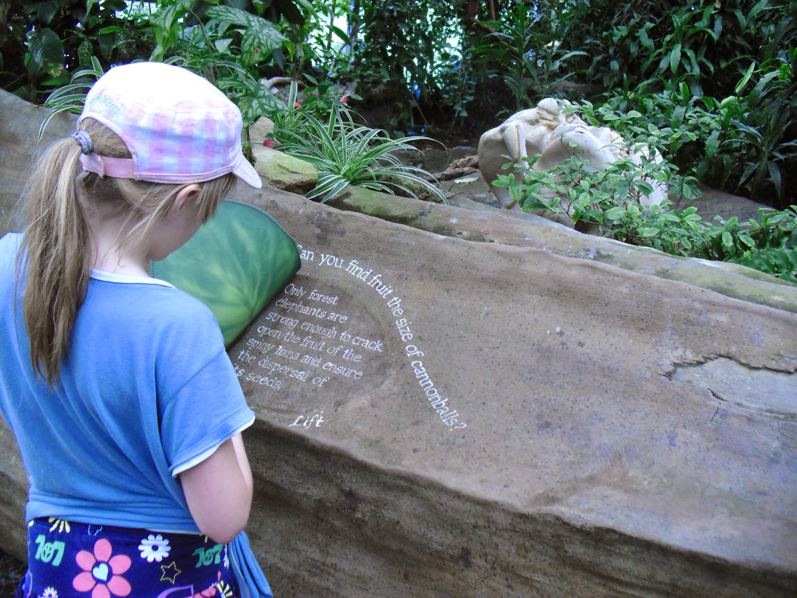 Love 2 Travel With Kids North Carolina Zoo in Asheboro NC See