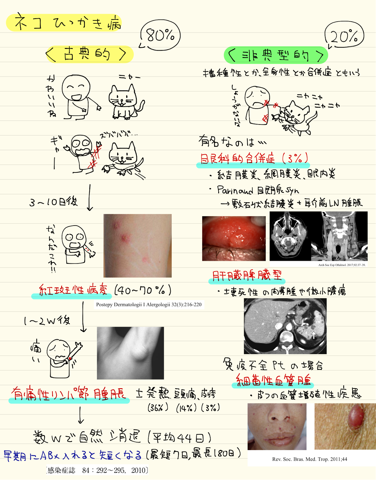 Dr Note いつも心に ネコひっかき病