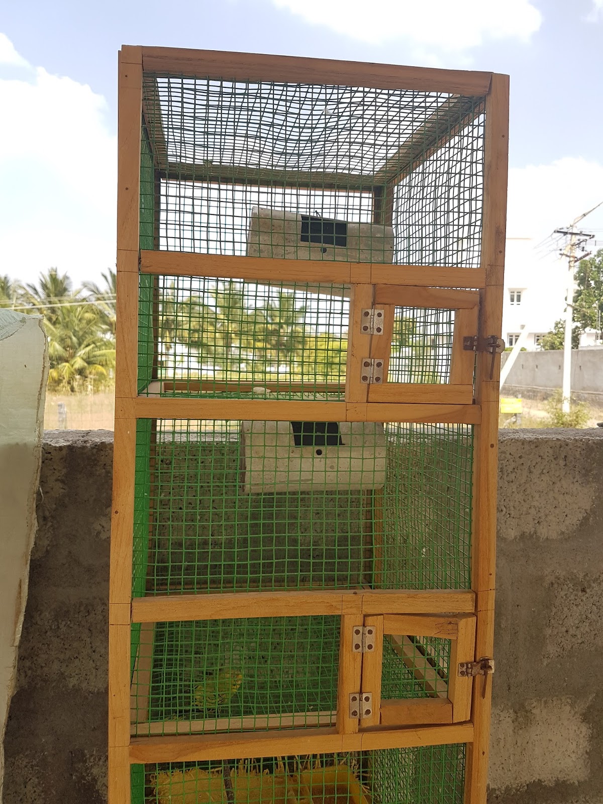 Zebra Finches Cage Models Hand Made Birds Breeding