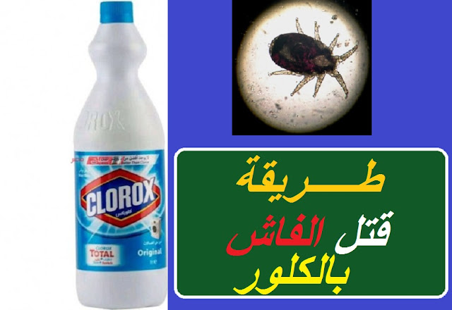 "حشرة الفاش في المنزل" "القضاء على الفاش نهائيا من المنزل" "هل الكلور يقتل الفاش" "حشرة الفاش والانسان" "شكل الفاش الأبيض" "التخلص من الفاش نهائيا من المنزل" "كيف اقضى على الفاش في المنزل" "هل فاش الطيور يعدى الانسان" حشرة الفاش ويكيبيديا " حشرة الفاش الأبيض في المنزل" حشرة الفاش الأبيض" حشرة الفاش" " علاج حشرة الفاش " فاش الطيور حشرة الفاش" حشرة الفاش الابيض 0" حشرة الفاش في المنزل" حشرة الفاش في الطيور" حشرة العلقة" حشرة الجرب" حشرة الحمام" حشرة قمل الحمام" " ما هي حشرة الفاش" حشرة الفاش فى المنزل" حشرة الفاش والانسان" حشرة فاش الحمام" " شكل حشرة الجرب" حشرة الفاش فاش الحمام" حشرة البغبش" حشرة الفاش الأسود" حشرة القميلة" شكل حشرة الفاش" كيفية التخلص من حشرة الفاش فى المنزل" شكل حشرة فاش الطيور" فاش شكل حشرة الفاش" الارنب حشرة" أضرار حشرة السوس" هل الخل يقتل الفاش التخلص من الفاش نهائيا القضاء على الفاش من المنزل القضاء على الفاش نهائيا من المنزل علاج الفاش بالحلبه علاج الفاش عند الانسان علاج الفاش بالثوم هل الفاش ينتقل للانسان حشرة الفاش في المنزل القضاء على الفاش نهائيا من المنزل الفاش الابيض هل الكلور يقتل الفاش شكل الفاش الأبيض كيف اقضى على الفاش في المنزل التخلص من الفاش نهائيا من المنزل علاج قرص الفاش للانسان "حشرة الفاش في المنزل" "القضاء على الفاش نهائيا من المنزل" "هل الكلور يقتل الفاش" "حشرة الفاش والانسان" "شكل الفاش الأبيض" "التخلص من الفاش نهائيا من المنزل" "كيف اقضى على الفاش في المنزل" "هل فاش الطيور يعدى الانسان" حشرة الفاش ويكيبيديا " حشرة الفاش الأبيض في المنزل" حشرة الفاش الأبيض" حشرة الفاش" " علاج حشرة الفاش " فاش الطيور حشرة الفاش" حشرة الفاش الابيض 0" حشرة الفاش في المنزل" حشرة الفاش في الطيور" حشرة العلقة" حشرة الجرب" حشرة الحمام" حشرة قمل الحمام" " ما هي حشرة الفاش" حشرة الفاش فى المنزل" حشرة الفاش والانسان" حشرة فاش الحمام" " شكل حشرة الجرب" حشرة الفاش فاش الحمام" حشرة البغبش" حشرة الفاش الأسود" حشرة القميلة" شكل حشرة الفاش" كيفية التخلص من حشرة الفاش فى المنزل" شكل حشرة فاش الطيور" فاش شكل حشرة الفاش" الارنب حشرة" أضرار حشرة السوس" هل الخل يقتل الفاش التخلص من الفاش نهائيا القضاء على الفاش من المنزل القضاء على الفاش نهائيا من المنزل علاج الفاش بالحلبه علاج الفاش عند الانسان علاج الفاش بالثوم هل الفاش ينتقل للانسان حشرة الفاش في المنزل القضاء على الفاش نهائيا من المنزل الفاش الابيض هل الكلور يقتل الفاش شكل الفاش الأبيض كيف اقضى على الفاش في المنزل التخلص من الفاش نهائيا من المنزل علاج قرص الفاش للانسان