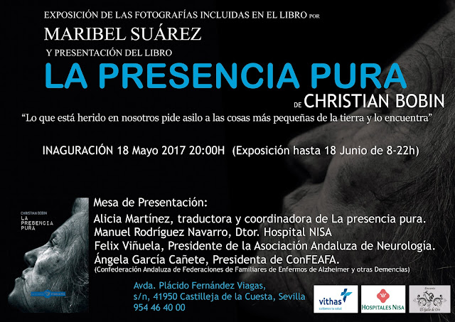 www.maribelsuarez.es