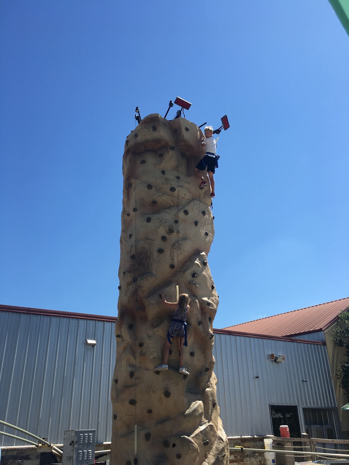 Chasing Roots Horseshoe Junction