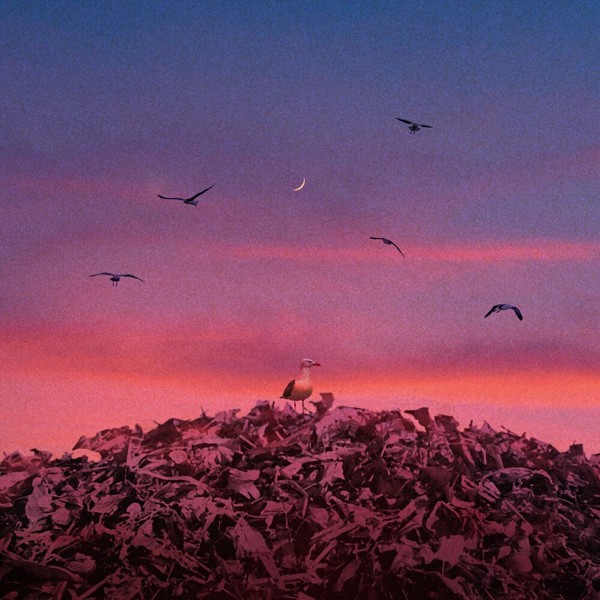 Swalo – Coward – Single