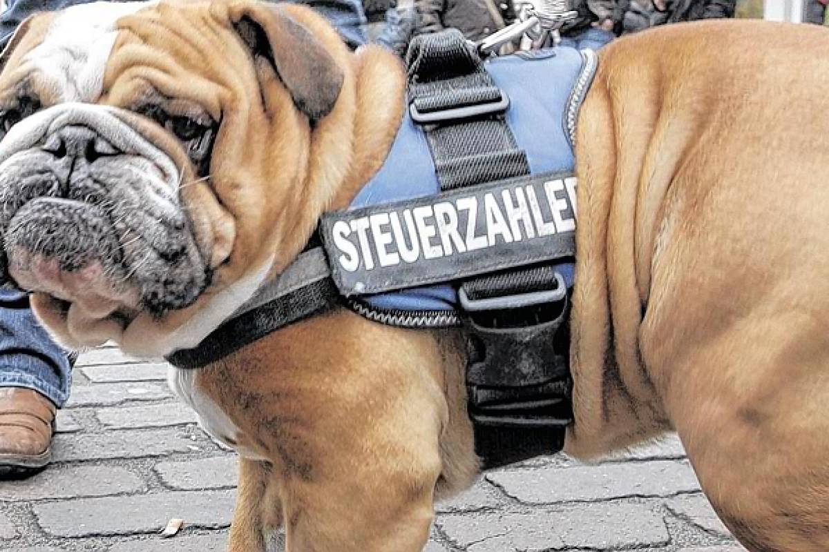 Die Ver(sch)wendung der Hundesteuer Die Ver(sch)wendung der Hundesteuer