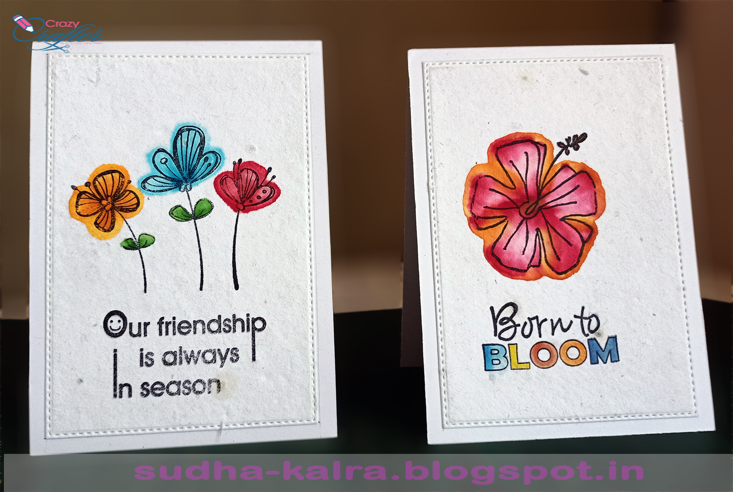 Crazy Crafter Quick Seed Paper Cards