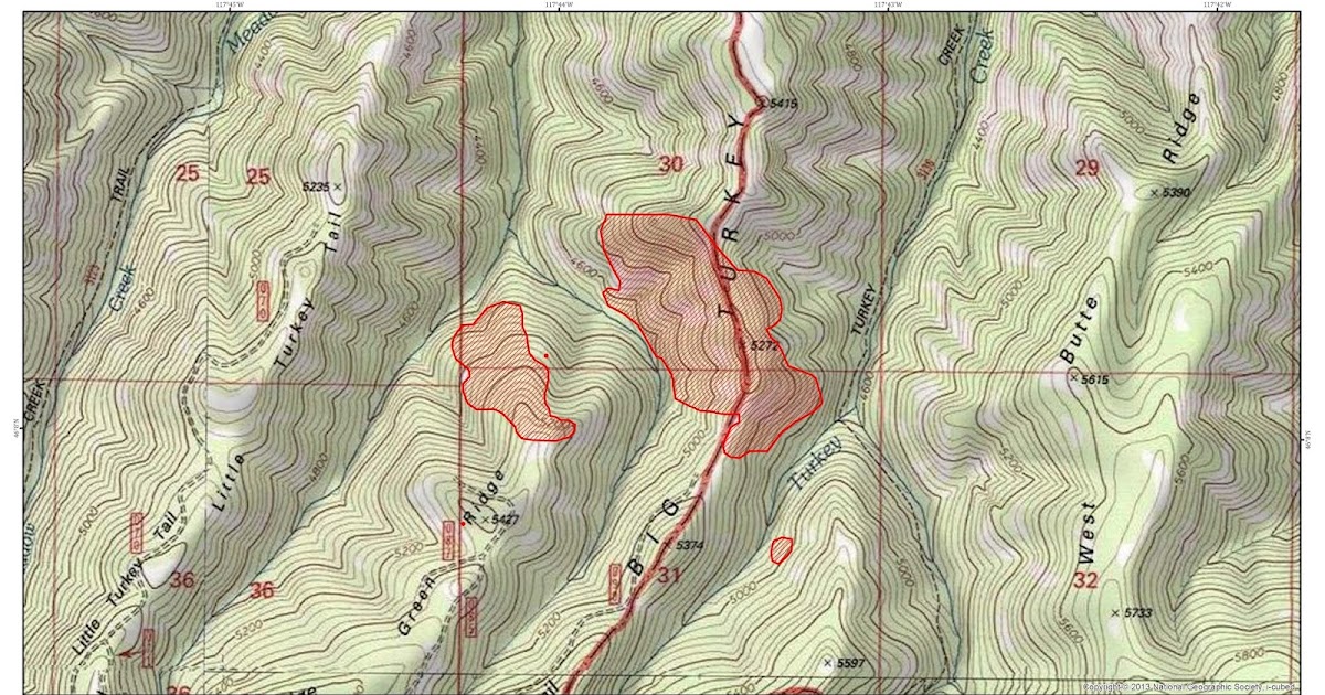 Blue Mountain Fire Information Green Ridge Fire Update July 10, 2021