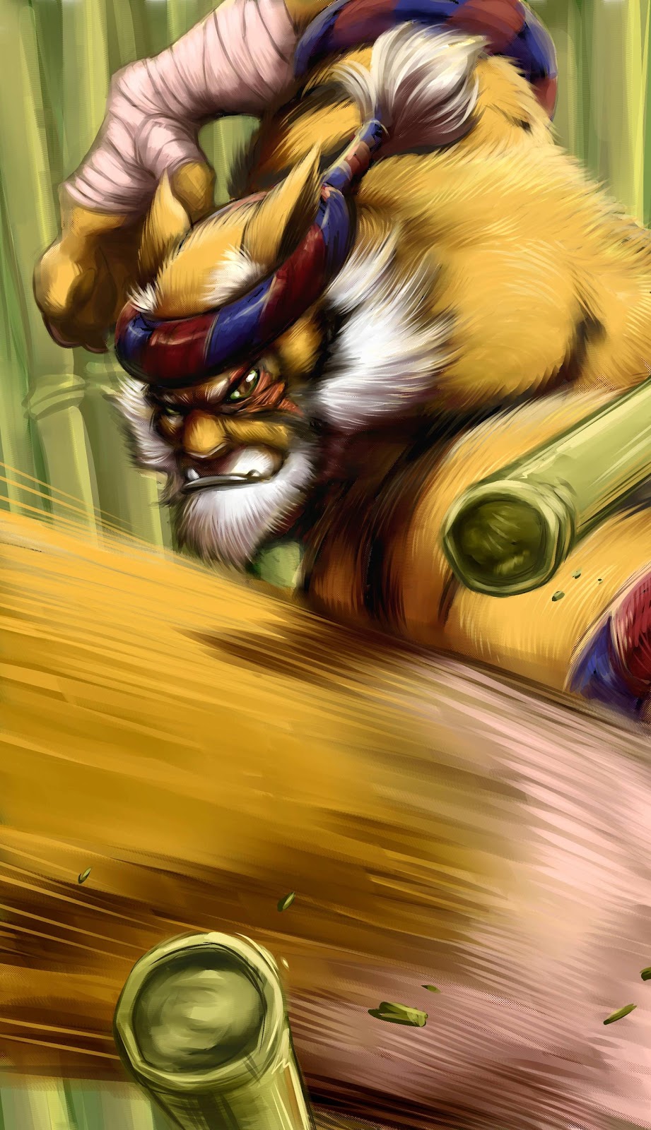 Проект конгор хон