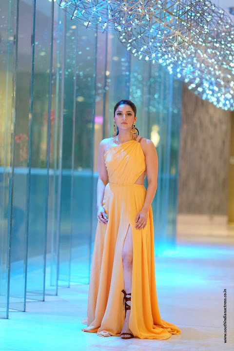 Mehreen Pirzada at Zee Apsara Awards 2018