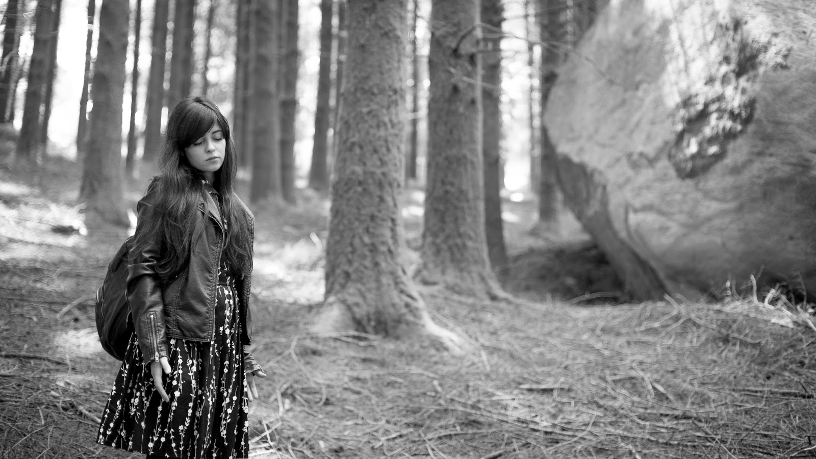 Resultado de imagem para a floresta das almas perdidas tvcine