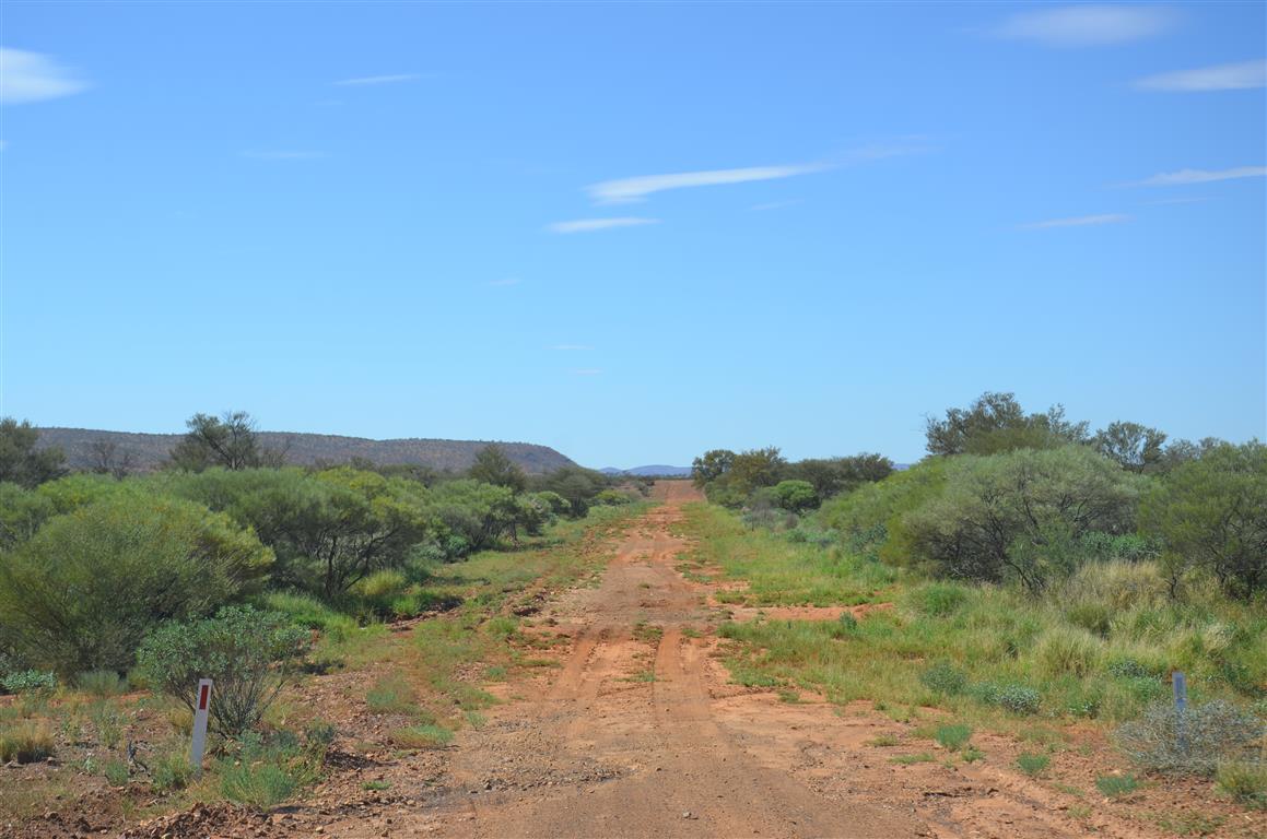 Australien 2013 Mt. AugustusTom Price
